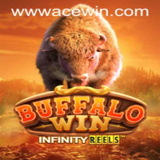 BuffaloWin: An Exciting Journey through the Wilds